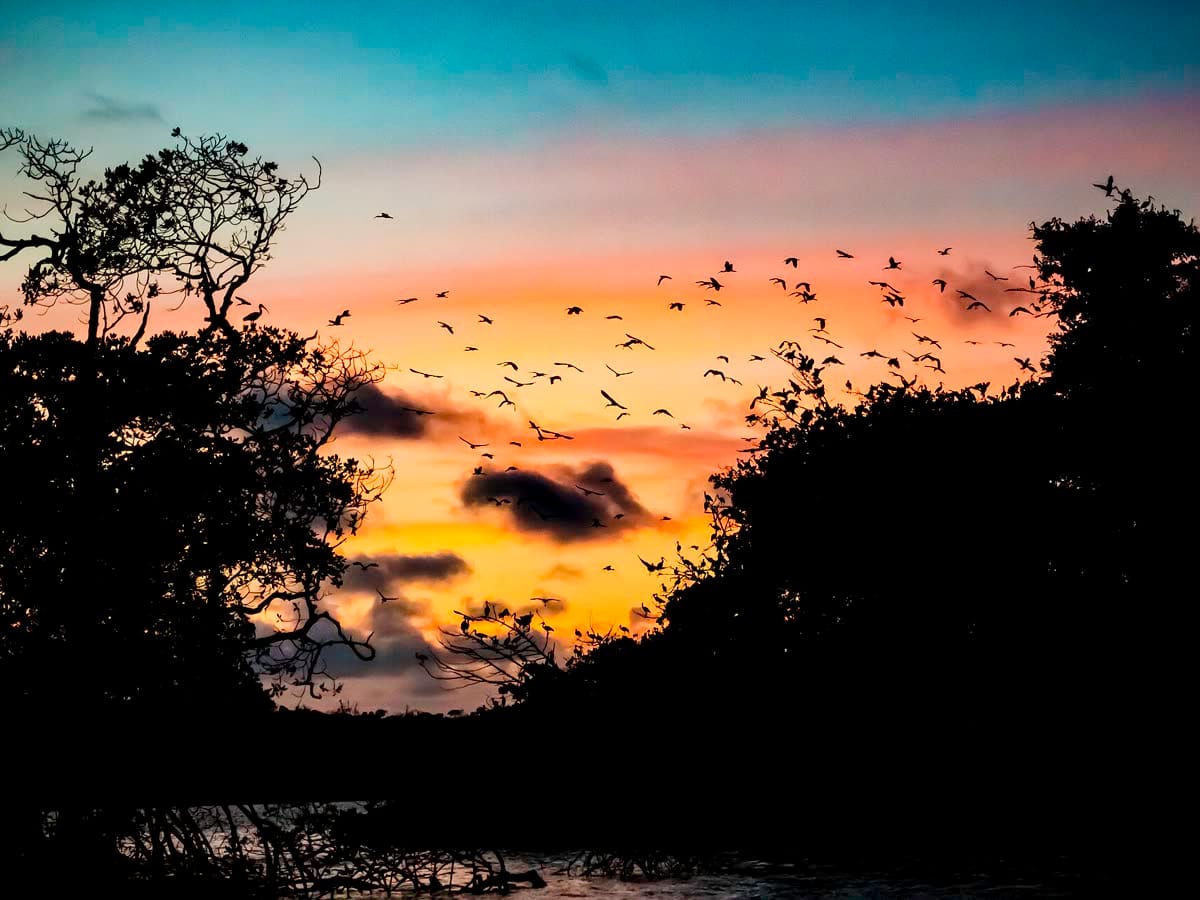 Pôr do sol no Delta do Parnaíba