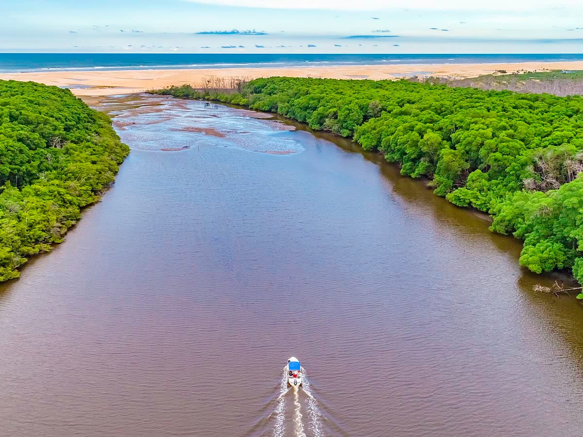 Baía e manguezais do Delta do Parnaíba