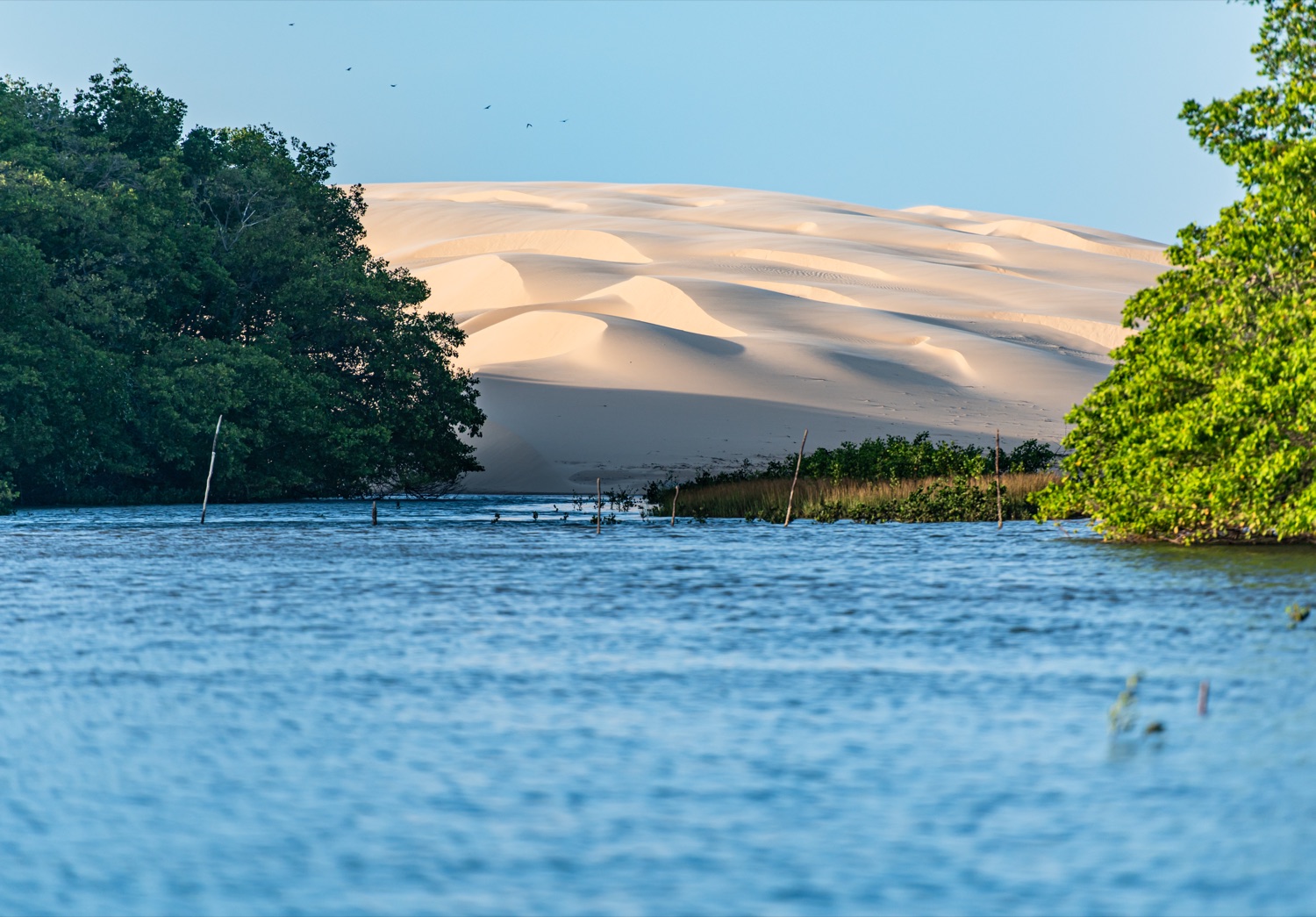 Dunas e lagoa entre os manguezais do delta